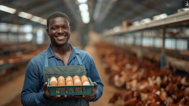Chicken Farm Worker Jobs in Canada for Africans for 2025/2026